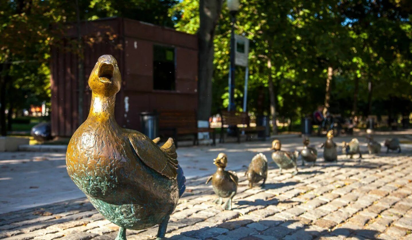 памятник утке с утятами в москве. новодевичий монастырь утки памятник. уточка в москве. уточка в москве. московские утки.