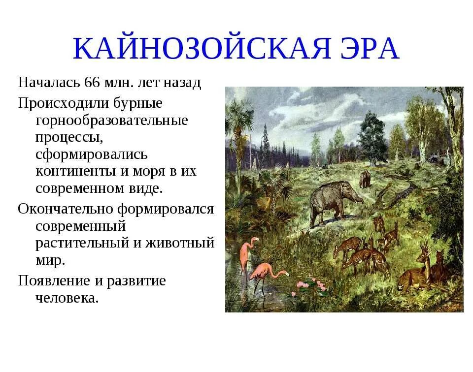 Кайнозойская Эра периоды. Кайнозой Эра периоды. Кайнозойская Эра климат в периоды. Климат кайнозойской эры кратко. Появление кайнозойской эры