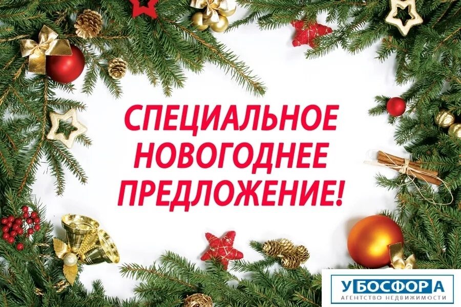 новогоднее предложение. делают ли предложение на новый год. предложение руки и сердца. предложение на новый год девушке. делают ли предложение на новый год.