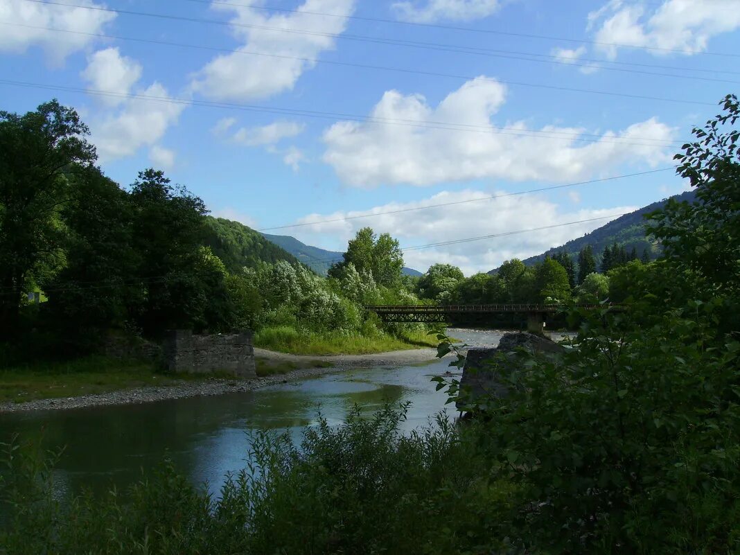 Тиса река в закарпатье. Тиса река в закарпатье мост. Закарпатская область река тиса. Река тиса венгрия. Мост тиса закарпатье.