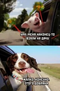 Жаль конечно этого добряка оригинал