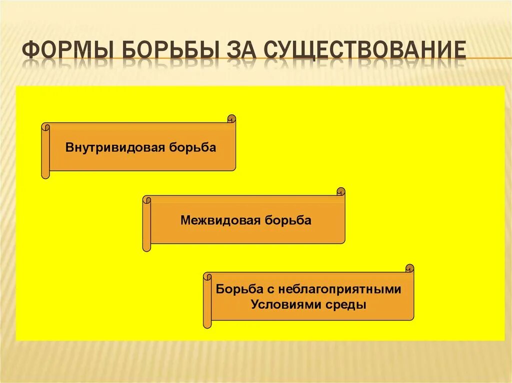 Формы борьбы за существование