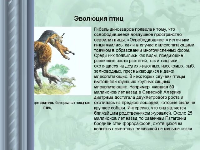 Сообщение о древнем животном. Древние животные земли хищники. презентация древних животных. сообщение о древнейших животных. древние животные презентация 5 класс.