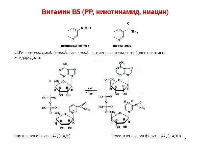Активная форма в 5. Витамин b5 кофермент. Активная форма витамина в5. Активная коферментная форма витамина b3. Витамин b5 коферментная форма.