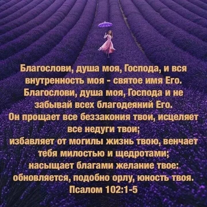 Благослови душе моя Господа. Благослови душа моя Господа и не забывай всех благодеяний его. Благослови душу мою Господи. Молитва благослови душе моя Господа. Псалом 102 читать на русском