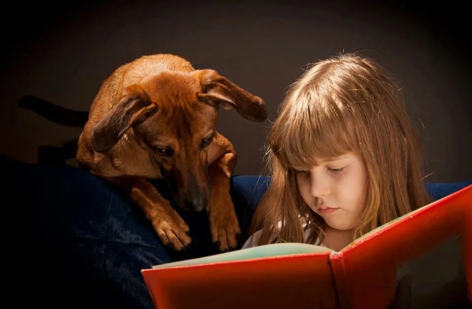 Ребенок для зверя читать. Домашние животные для детей. Книги про собак. Собака для детей. Чтение книги с собакой.