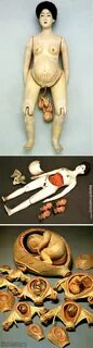 2. Pregnant doll.