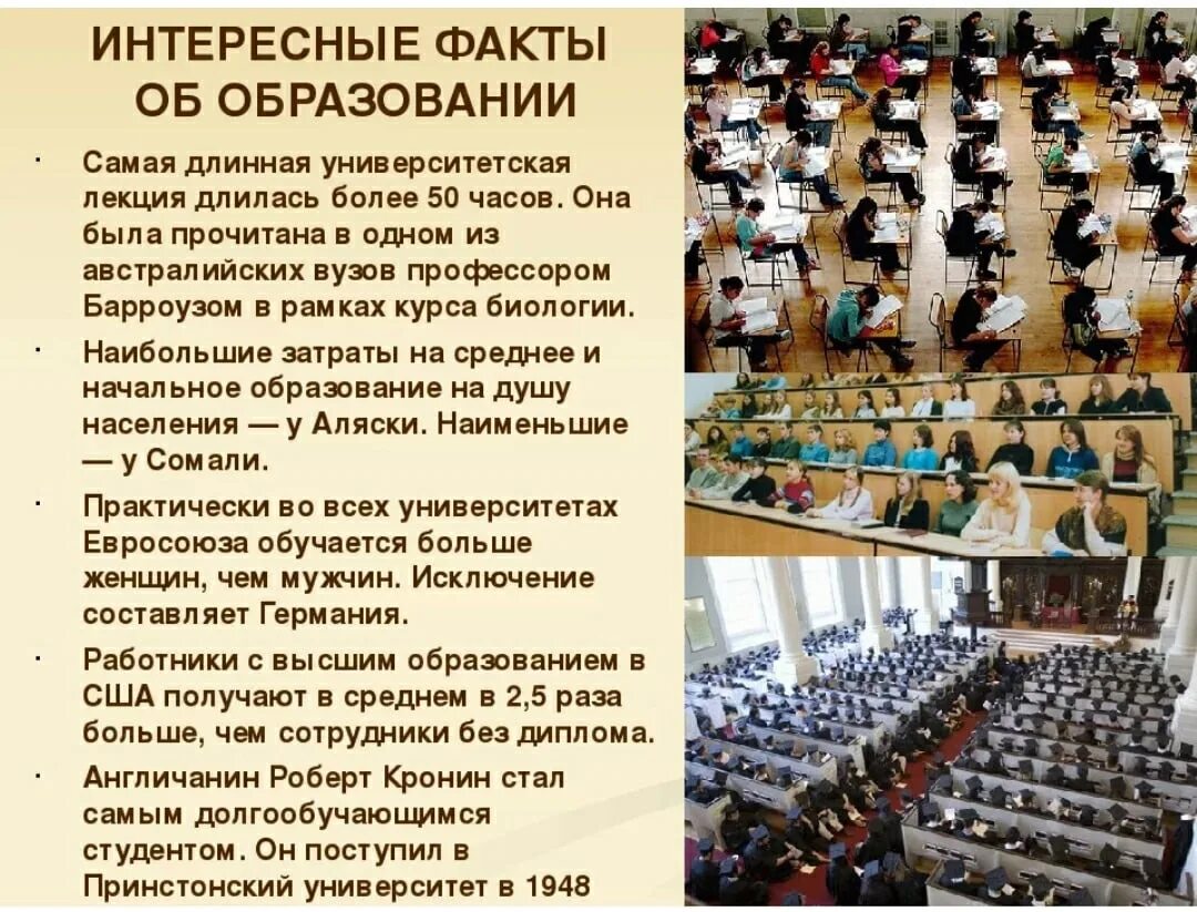 И различную интересную информацию