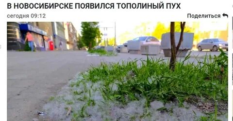 Тополиный пух на твоих щеках