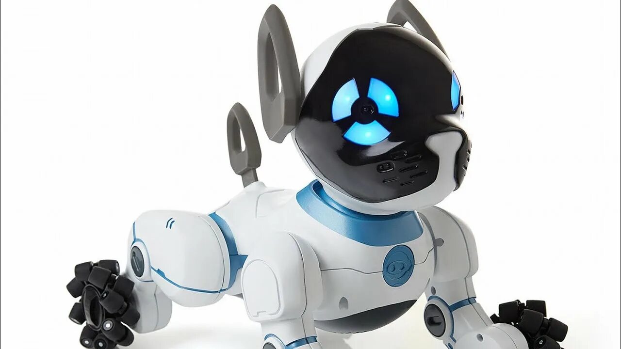 Робот собака чип. Роборовер wowwee. робот чип. механическая собака чип. робот собака для детей.