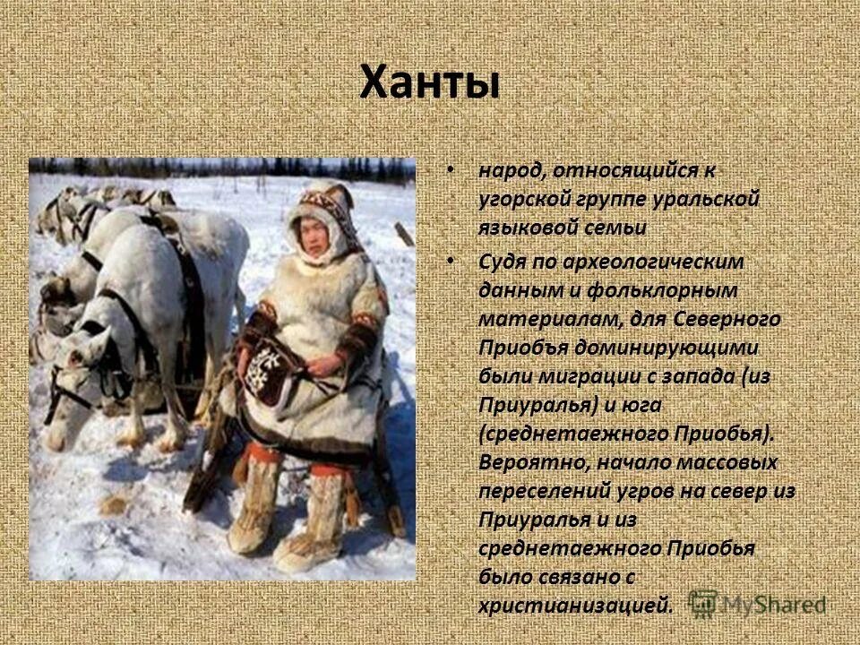 народы западной сибири ханты и манси 16 век. ханты численность народа. коренные народы урала вогулы манси. коренные народы севера ханты и манси. сообщение о народе ханты и манси.