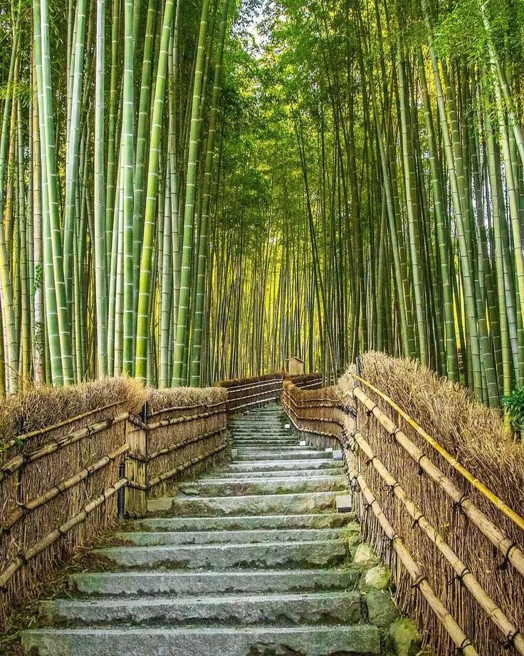 Nature can
