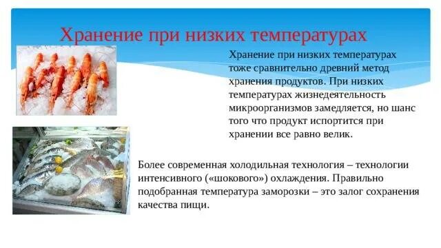 Хранить при низкой температуре. Способ хранения бактерий. температура хранения. способы хранения культур микроорганизмов. пищевые продукты хранятся при температуре.