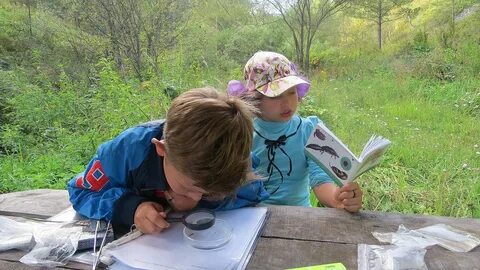Научные изучение природы