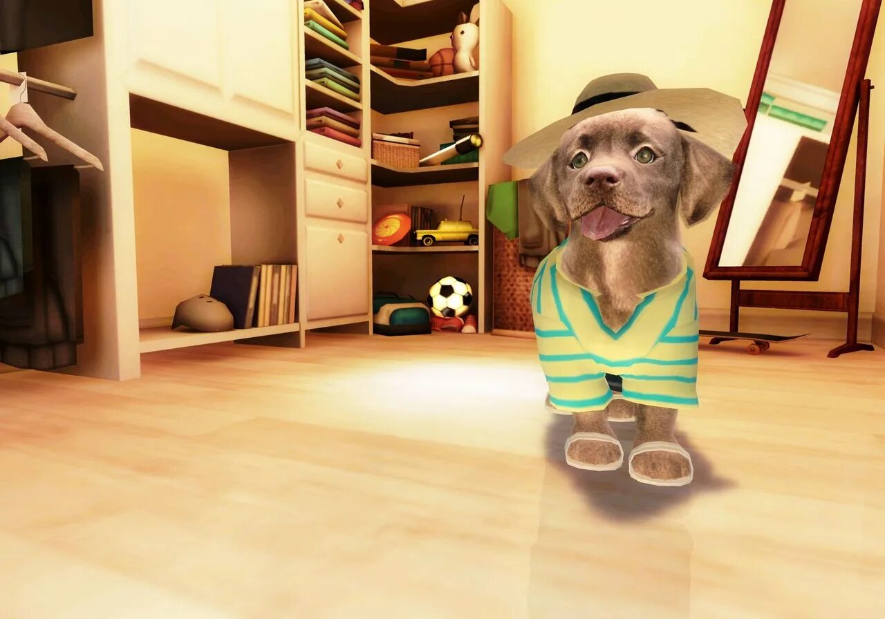 Игра dogz. Petz Dogz. Petz Sports. Dogz Petz Sport. Игра Petz Sports.