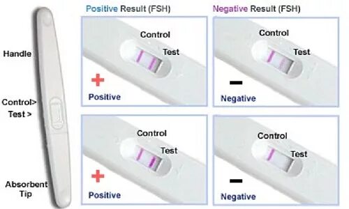Result negative. Result negative. Covid-19 results. Naat nucleic acid amplification test sensitivity. Отменили пцр тесты.