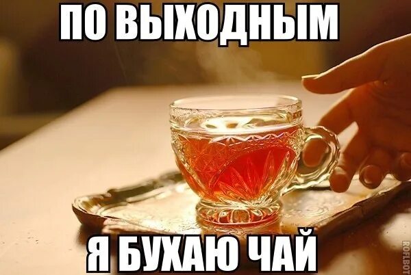 Я пошла чай. Бухать чай. я бухаю чай. пошли попьем чай. пойду бухать чай.