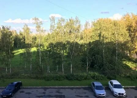 Шоссе в пушкине