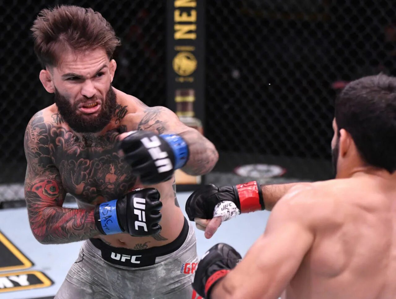 Самый лучший боец юфс. Коди гарбрандт рафаэль ассунсао. боец ufc garbrandt. коди гарбрандт бой ufc 250. боец мма коди гарбрандт.