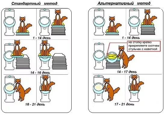 Как приучить котёнка к туалету в унитаз. Приучить кота ходить в унитаз. Как научить кота ходить в унитаз. Приучить котёнка к туалету в квартире. Сколько раз должны ходить в туалет