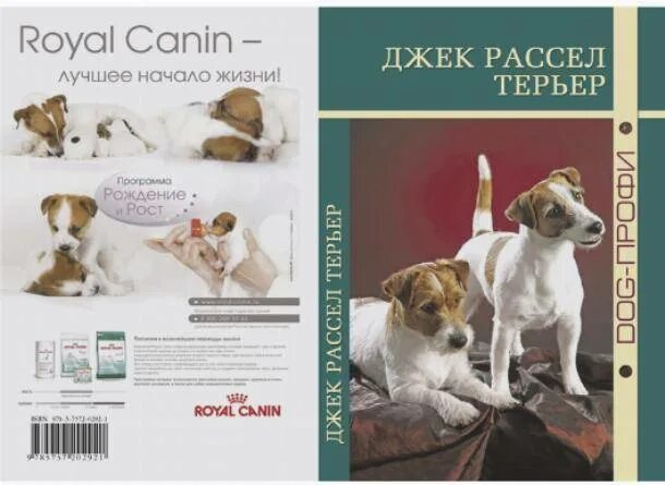 Рассел как ухаживать. Книга о породе джек рассел терьер. собака джек рассел с книгой. дог профи джек рассел терьер. джек рассел терьер книга по воспитанию.