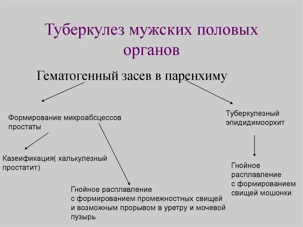 Половой орган у мужчины причины. Классификация туберкулеза мужских половых органов. Туберкулез женских органов патогенез. Туберкулез половых органов этиология. Патогенез туберкулеза половых органов.