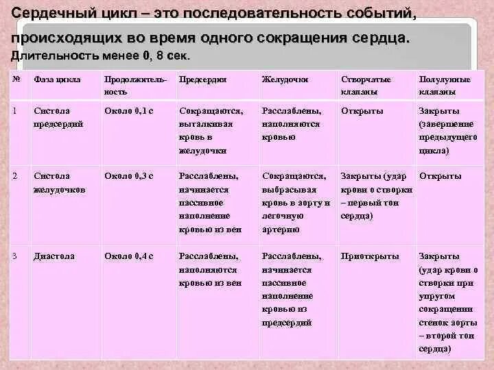 Клапаны сердца таблица. Таблица фазы сердечного цикла движение крови. таблица по биологии 8 класс фаза сердечного цикла положение клапанов. фазы сердечного цикла таблица 8 класс биология. цикл сердечных сокращений таблица.