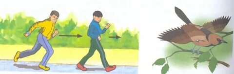 Жеке үйдегі минет фотосуреттері