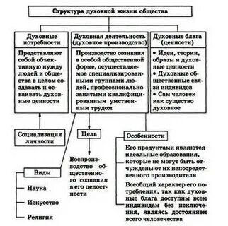 Схема сферы общества 8 класс