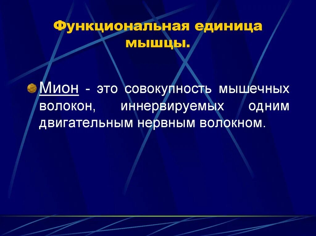 Функциональной единицей мышц является. Функциональная единица мышцы. мион и двигательная единица мышцы. мион структурно функциональная единица мышцы. что является функциональной единицей мышцы.