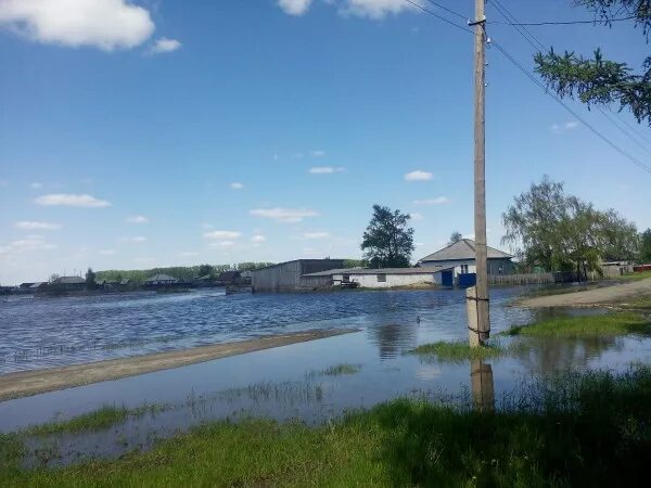 Село Вылково Тюменцевского района. Вылково Алтайский край. Вылково Тюменцевский район Алтайский. Деревня Вылково Алтайский край. Погода в вылково алтайского края