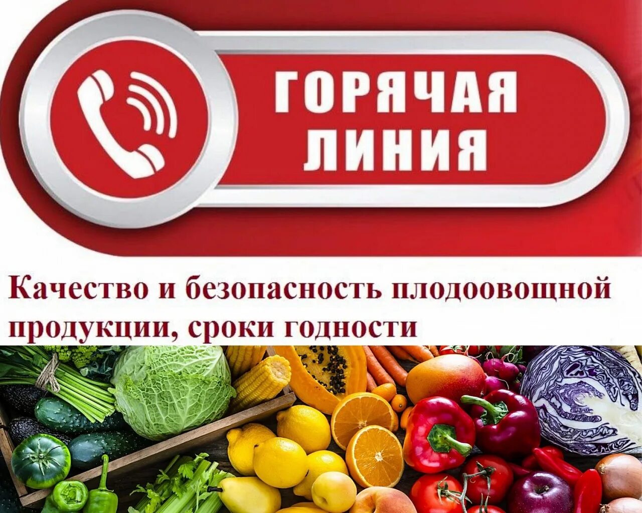 Качество товара роспотребнадзор. Горячая линия по качеству и безопасности плодоовощной продукции. качество и безопасность плодоовощной продукции. «горячая линия» по вопросам качества продуктов картинка. горячая линия по качеству плодоовощной продукции.