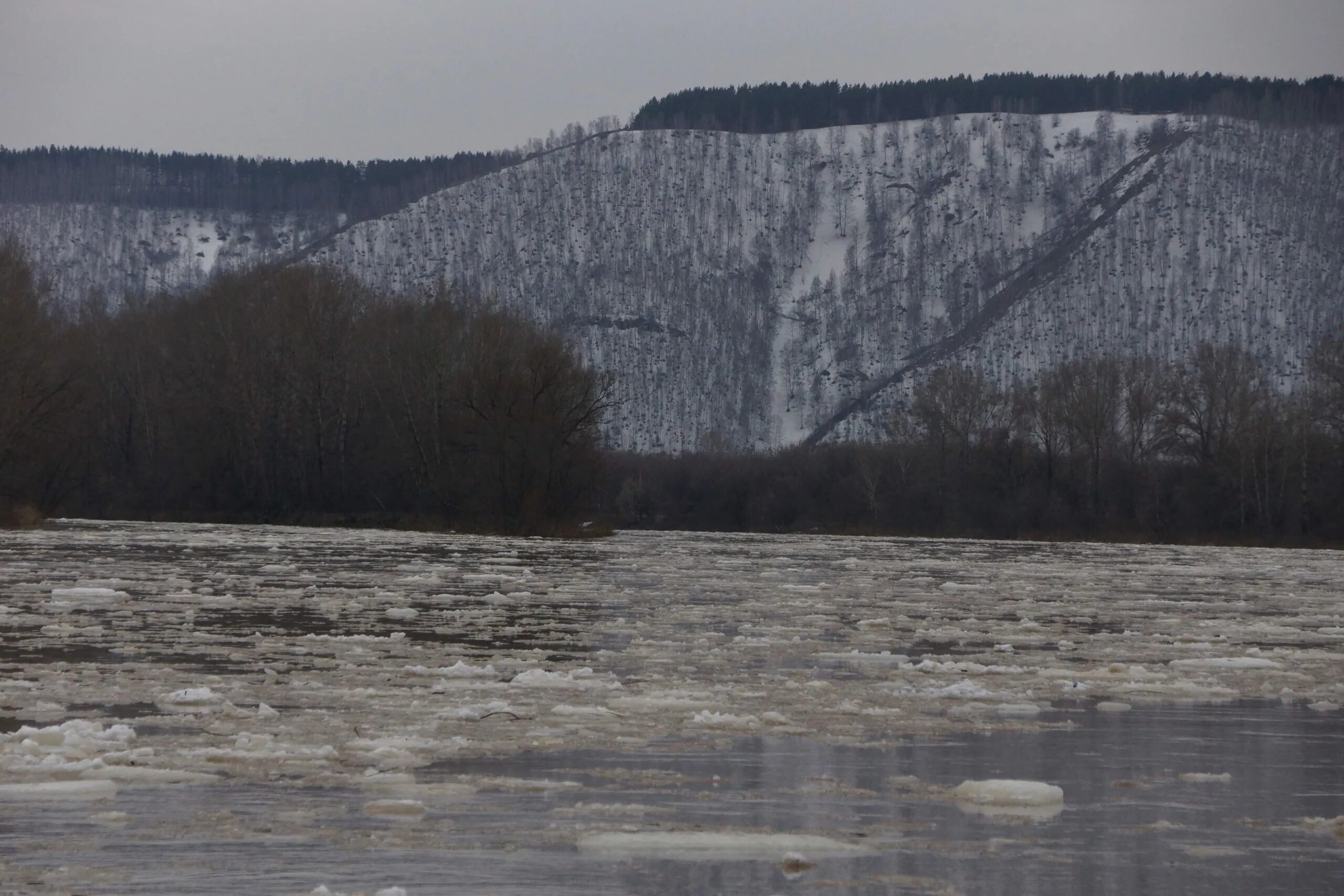 Уровень воды в реках новокузнецка. Ледоход на реке кондома в Калтане. Уровень воды в кондоме Кузедеево. Калтан река. Паводок в Калтане.