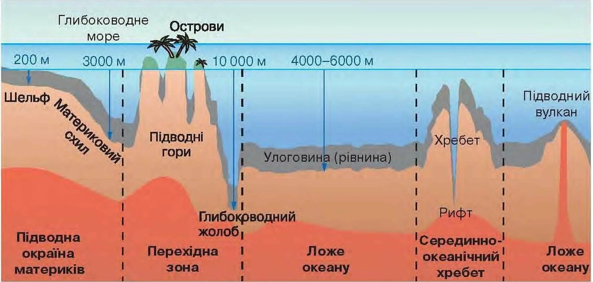 Рельеф дна мирового океана 5 класс география. Схема рельефа океанического дна. Строение рельефа дна мирового океана. Схема строения дна мирового океана. Рельеф дна мирового океана схема.