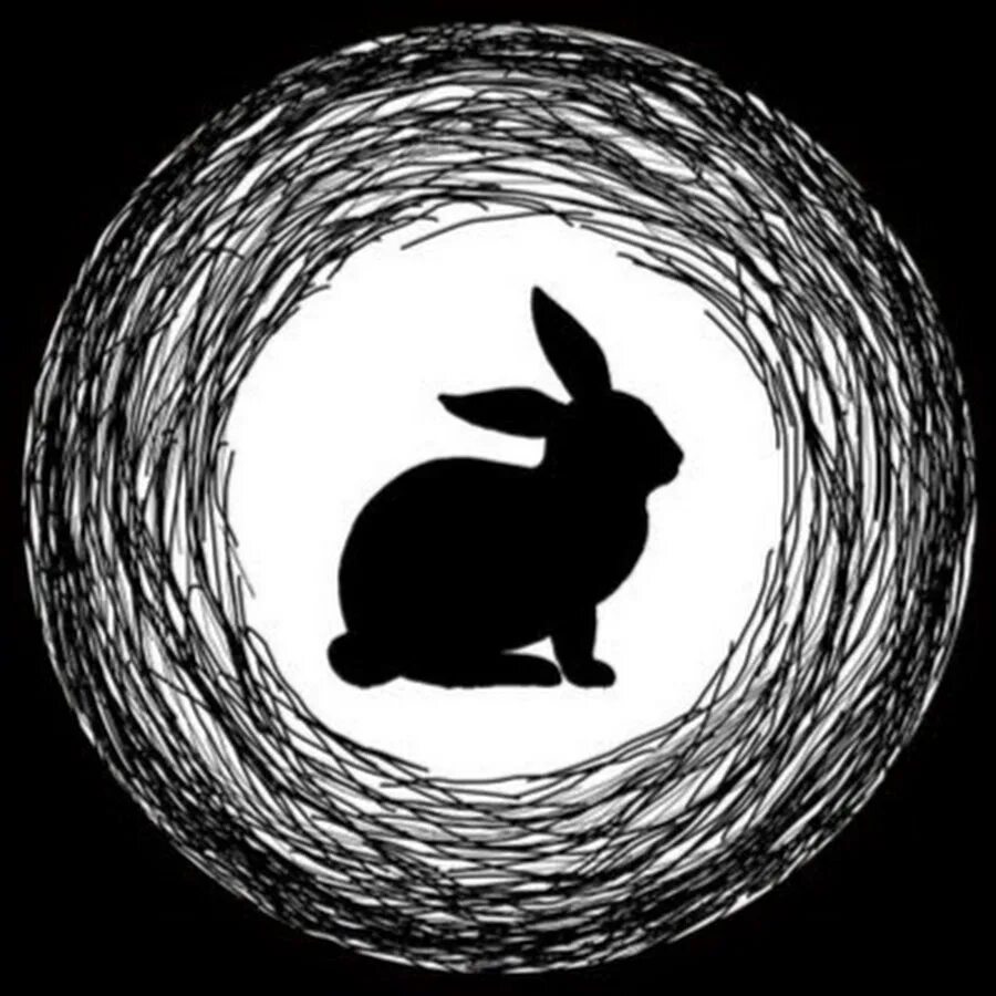 Rabbit hole download. Рабит хол. Черный кролик. Кролик черно белый.