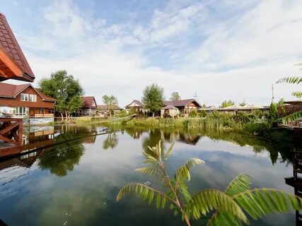 Зеленый островок нижегородская область