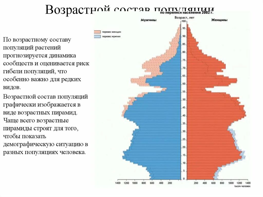 Возрастной состав популяции. Возрастные пирамиды животных. Возрастная пирамида популяции. Возрастная пирамида популяции растений. Характеристика возрастной структуры популяции