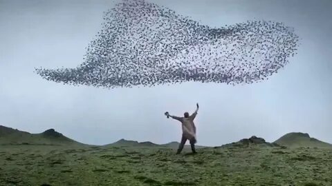 Новейший завет 2