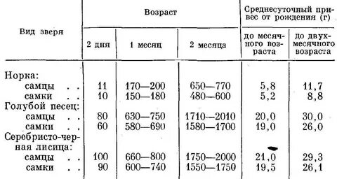 С какого возраста можно давать щенкам