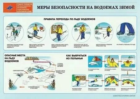 Назовите не менее 4 действий