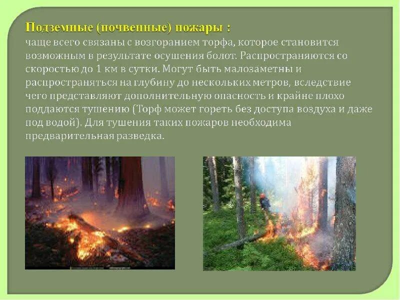 Лесные и торфяные пожары сообщение. Лесные и торфяные пожары. почвенные (подземные) пожары. почвенный пожар. подземный торфяной пожар.