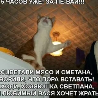 Встали вышли