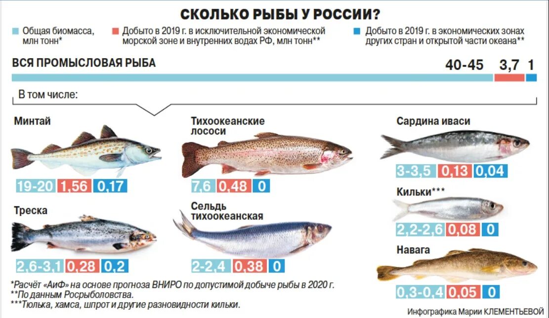 Объемы вылова рыбы в России по годам. Улов рыбы в России. Какую рыбу добывают в России. Типы рыбного промысла в России. Время промыслов рыбы