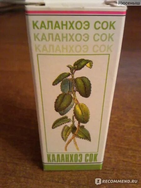 Каланхоэ сок Вифитех. Каланхоэ сок 20мл. Каланхоэ сок фл 20мл. Мазь с соком каланхоэ. Сок каланхоэ ребенку