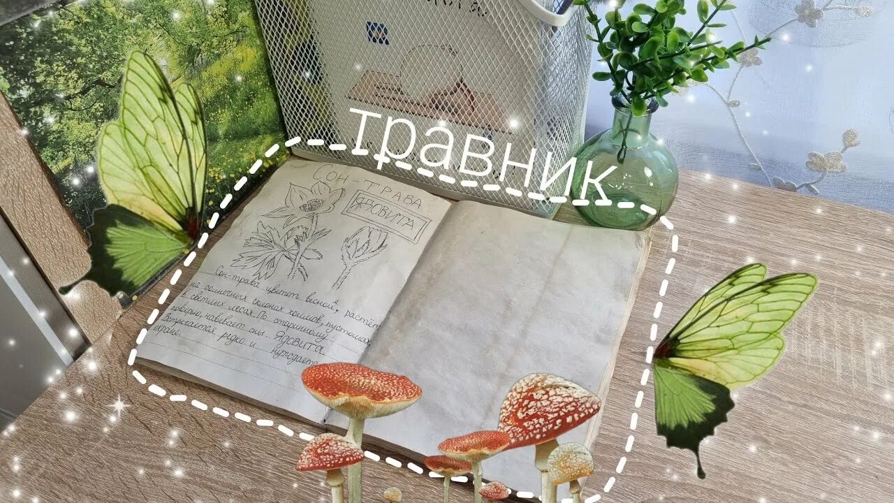 Травники украсить. Школа травника. Школа травника. Школа травника. Одежда травника.