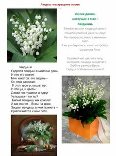 Песни я хочу подарить тебе ландыши