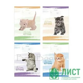 Котики в линию 5 класс ответ
