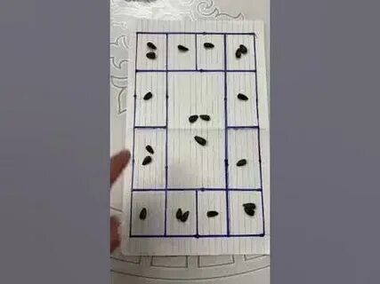 Фокус с семечками в квадратах