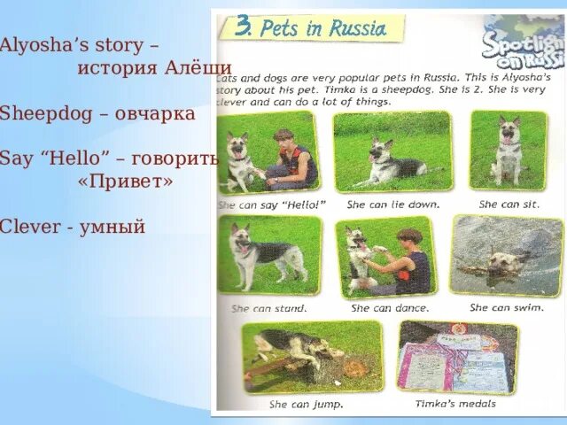 Pets in russia