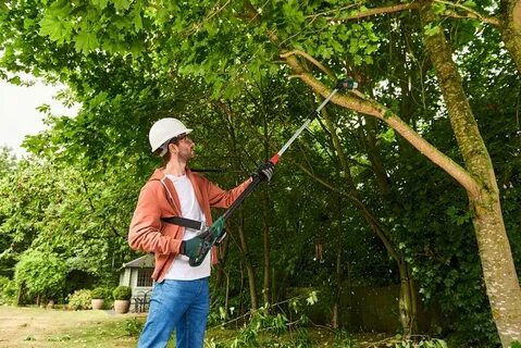 Высоторез для обрезки деревьев